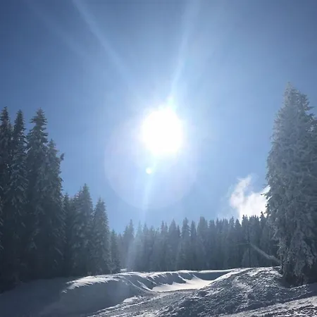 Appartamento Lux Milmari Reko E4 Kopaonik